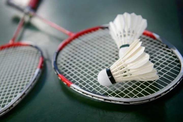 Badminton De Snelste Racket Sport